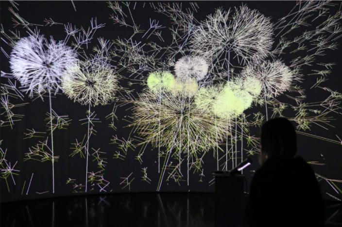 最大的艺术展,中国最大的数字艺术展览