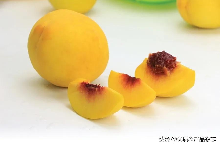 什么种类的黄桃最好吃又甜,鲜食黄桃品种哪个最好吃
