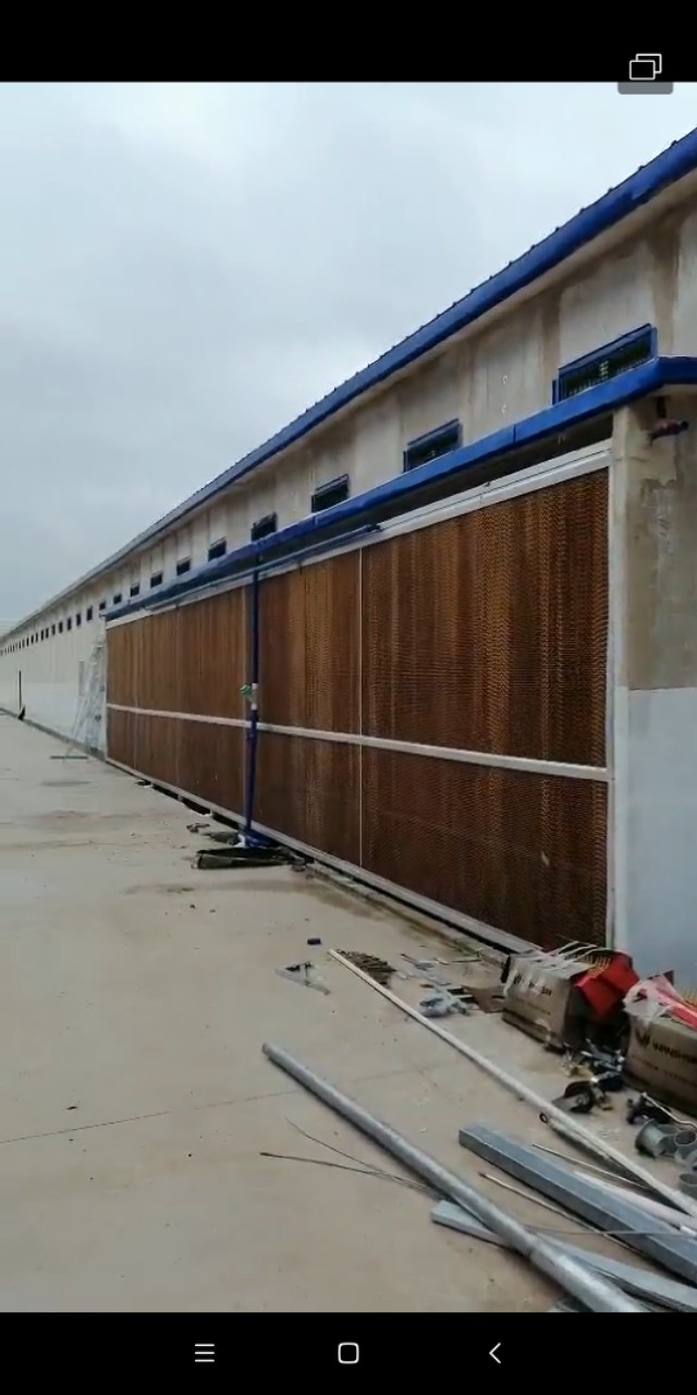 养鸡系统鸡舍,养鸡如何降低成本做好保温