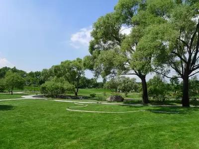 哈尔滨市内环境,哈尔滨一年四季的现状