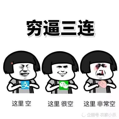 支付宝花呗分期利息怎么算的,支付宝花呗升级服务要不要升级