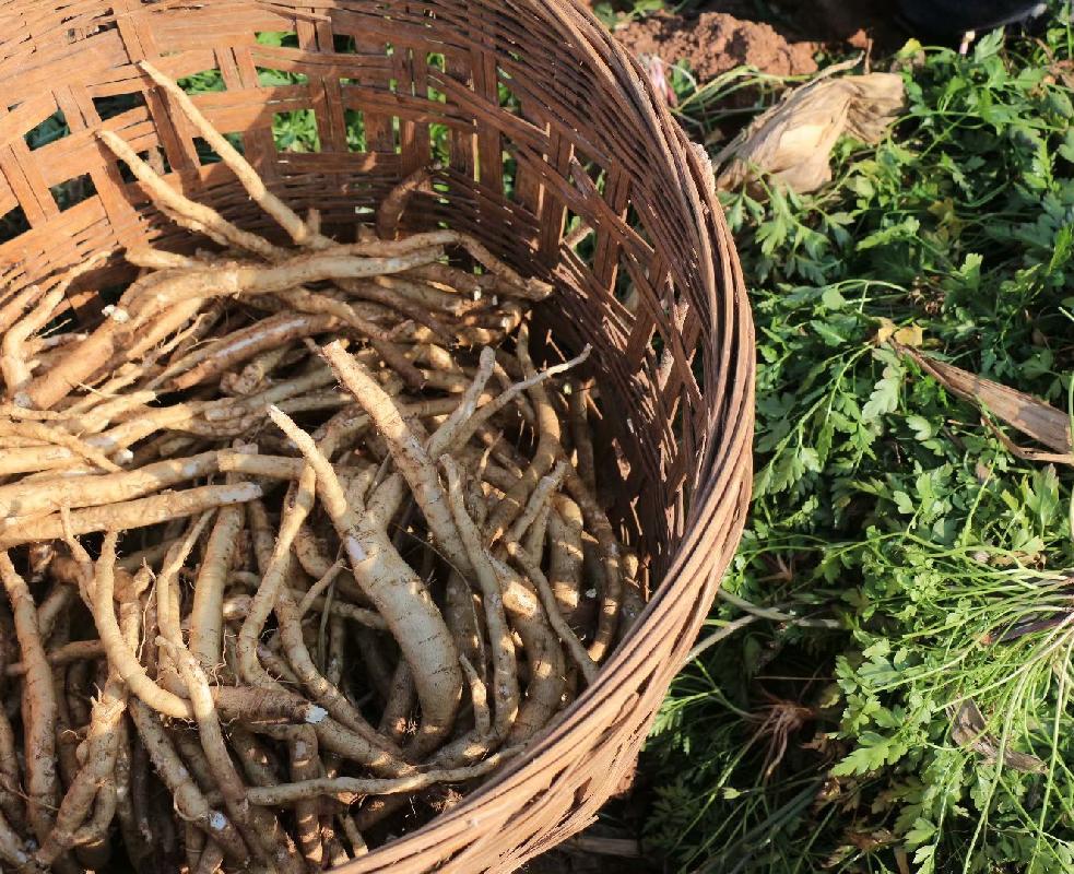 青白江特色旅游商品来啦！快来看有没有你的“心头好”