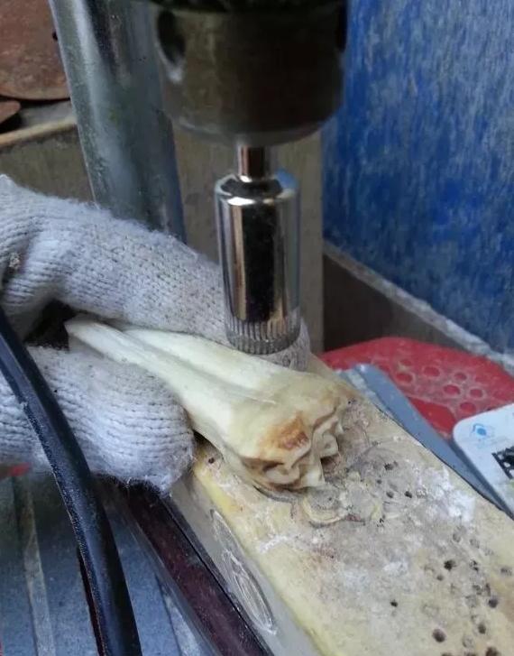 马骨手串圆珠,马骨手串价格及图片