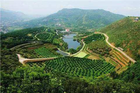 自己果园卖水果的技巧和经营模式,自家果园水果如何网上平台销售