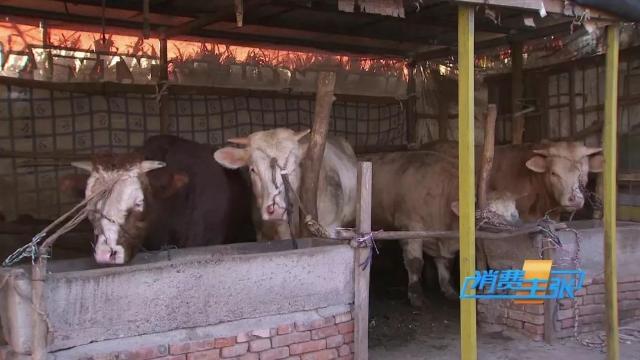 牛肉批发价最新价格,牛肉价格补贴最新消息