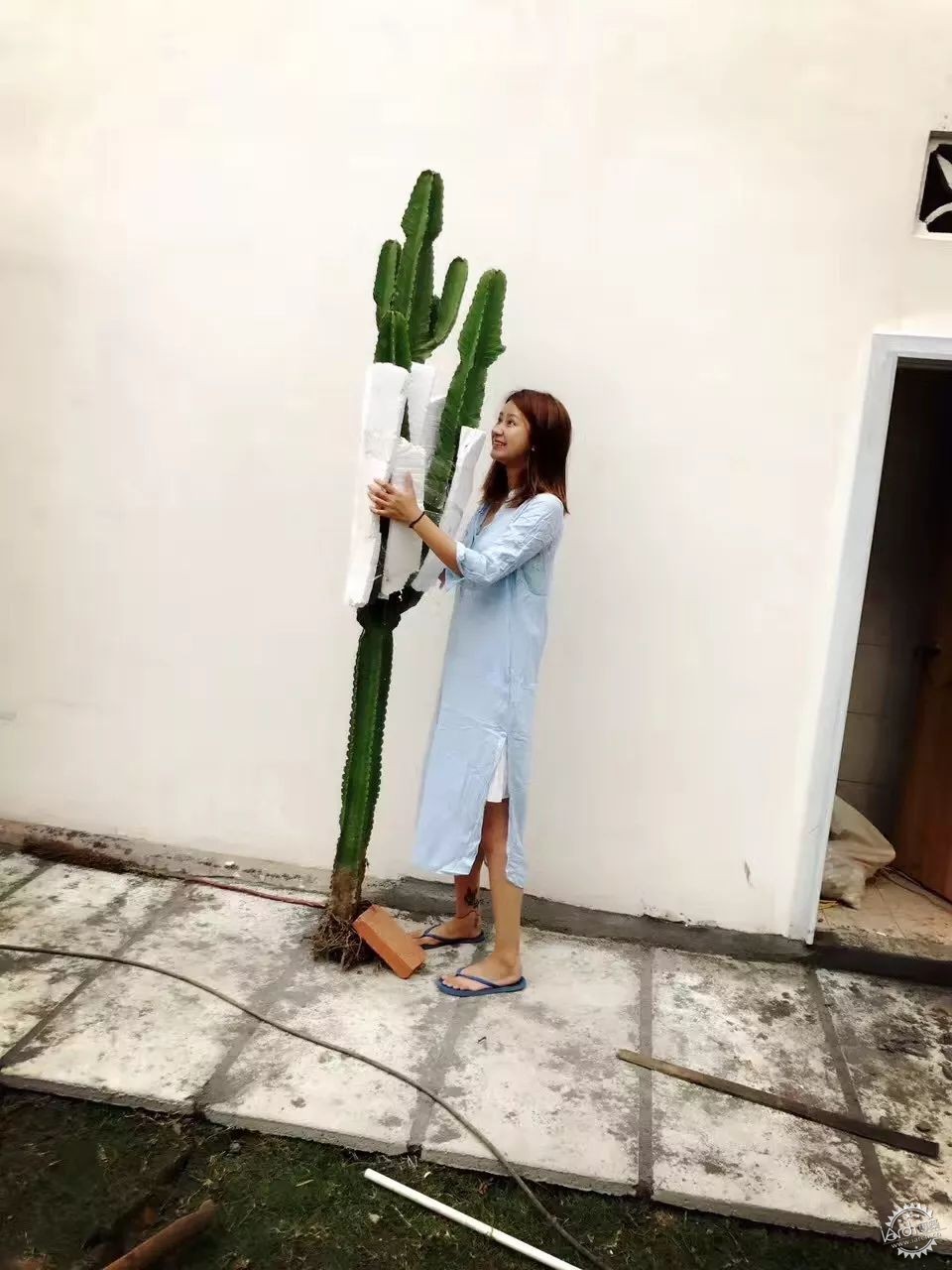 sasa，西西，设计师老王和三圣乡的“亲家DearHome”