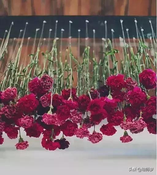 教学区环创布置,教学环创幼儿园