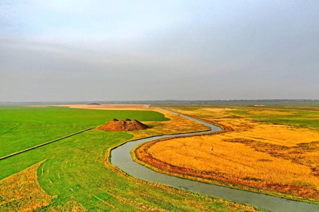 林业生态旅游科普,林草科普