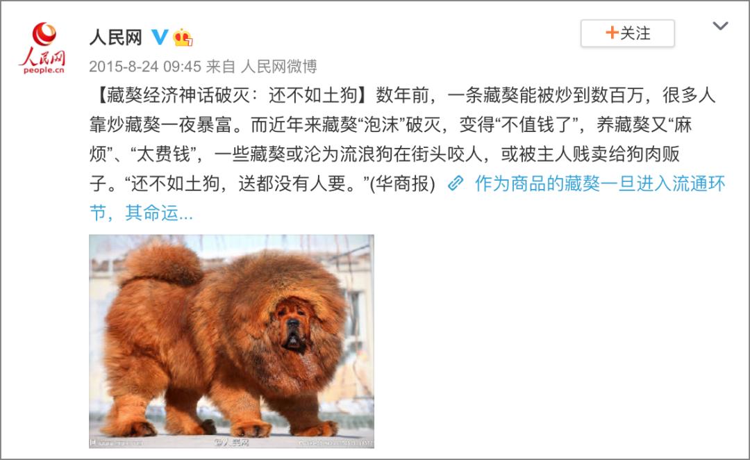 田园猫得了猫瘟，医生劝“别治了，治病的钱够买一只品种猫了…”