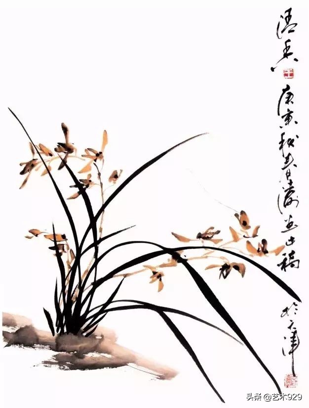 国画兰花画法免费技法教程,国画兰花绘画图