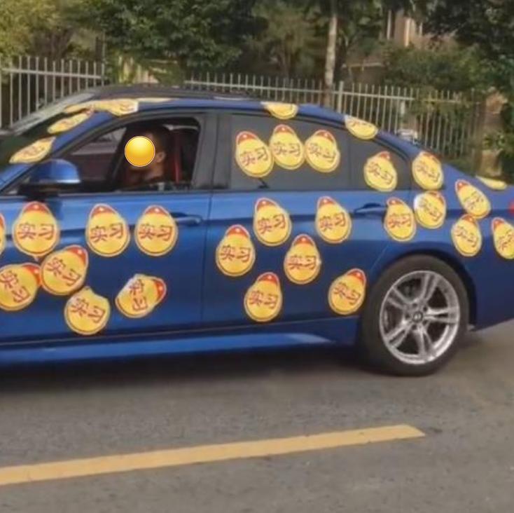 驾车上路贴实习标,新手开车贴实习标志可以免罚吗