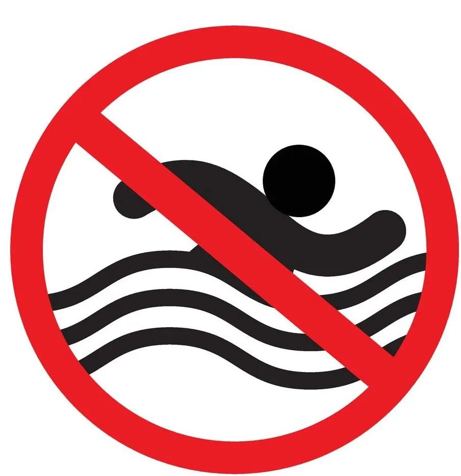 中国最完美运动员,中国最出色运动员