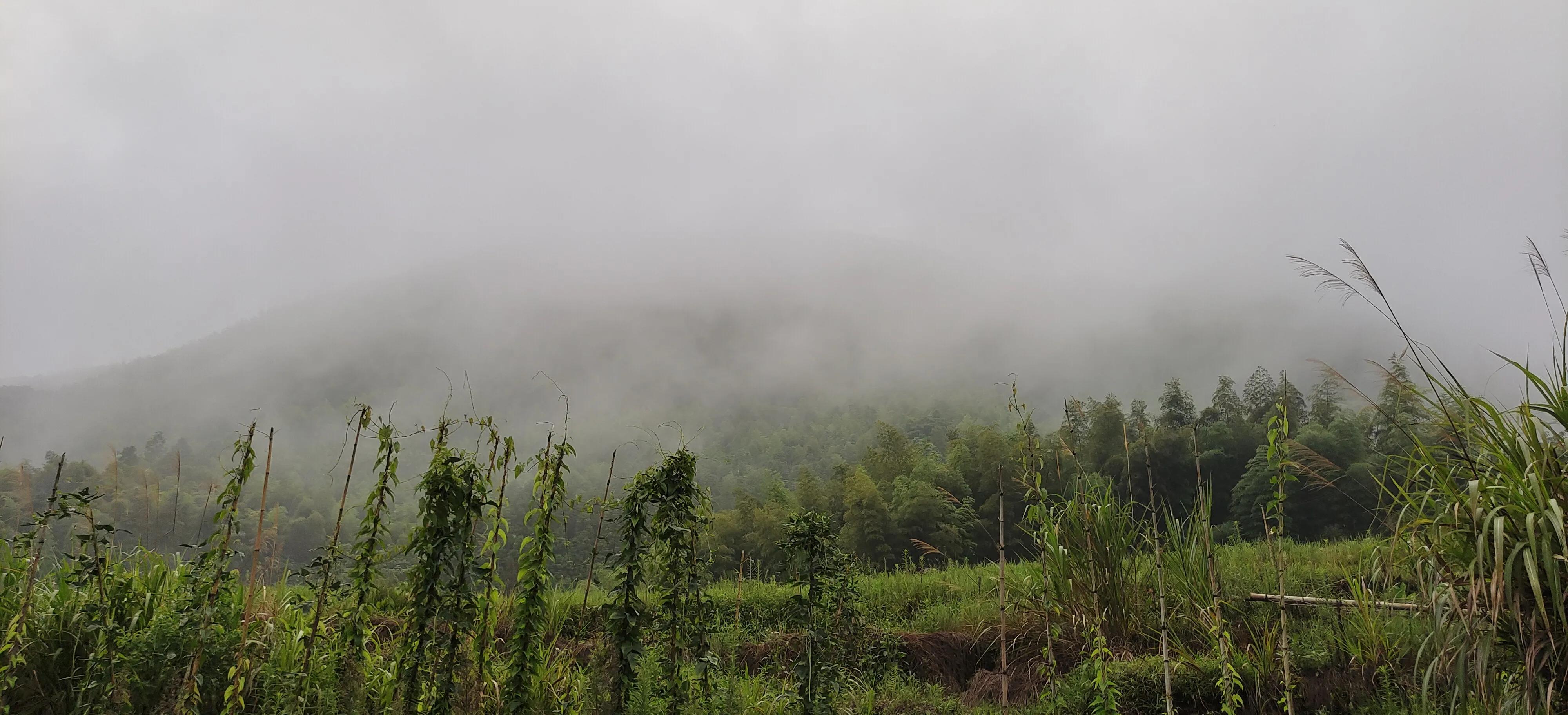 登上绝壁悬崖感受一览众山小,登上泰山之巅的感觉