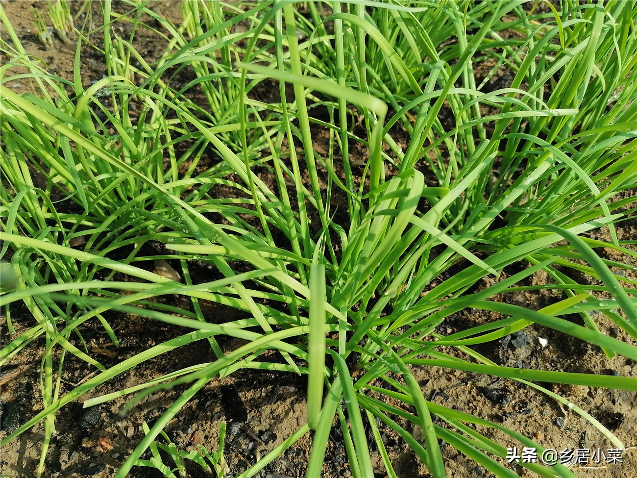 秋分后天气的变化,秋分之后天气冷怎么回事