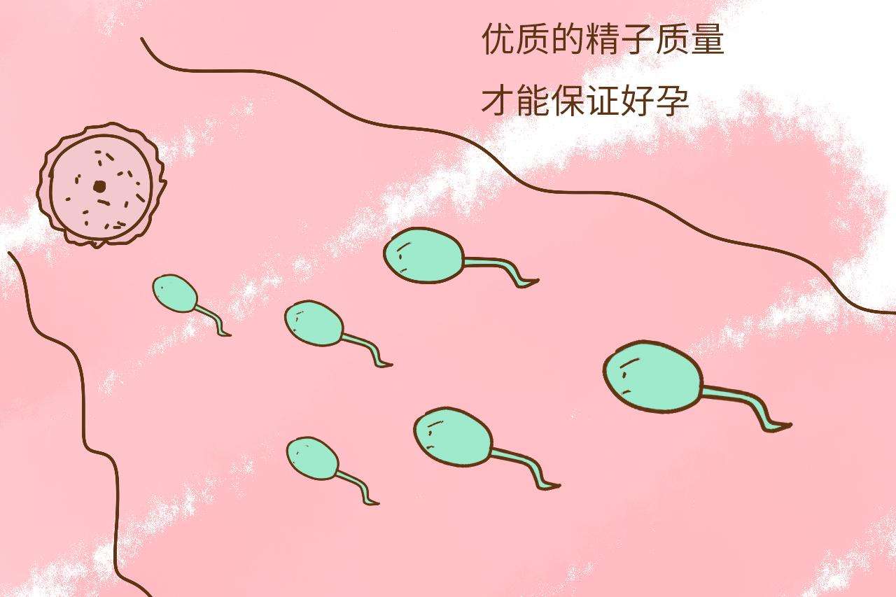 如何科学的提高精子质量,哪些运动可以降低精子畸形率