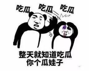 谁有爱尔兰行前指导？