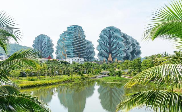 三亚美丽大树七星酒店多少钱一晚,三亚美丽之冠大树酒店老板是谁