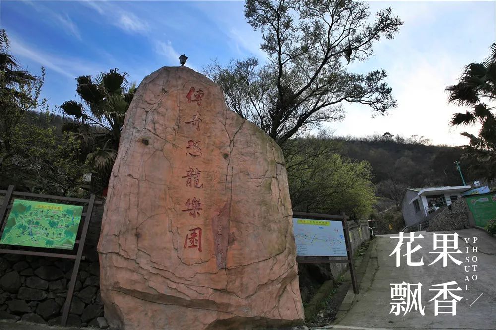 一个农村姑娘的创业经历,一个女农人的创业故事