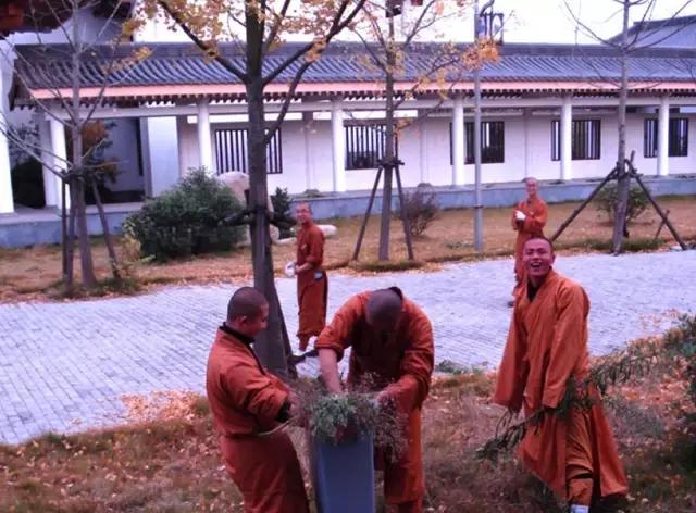 农禅并重的意义,农禅并重的寺院