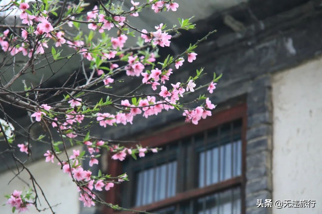 大理磻溪s弯网红打卡,大理洱海磻溪村s弯网红打卡地