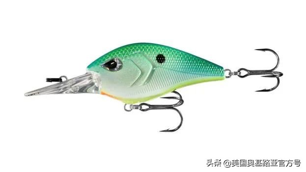 全国渔具展会2024时间表,全国渔具展2024