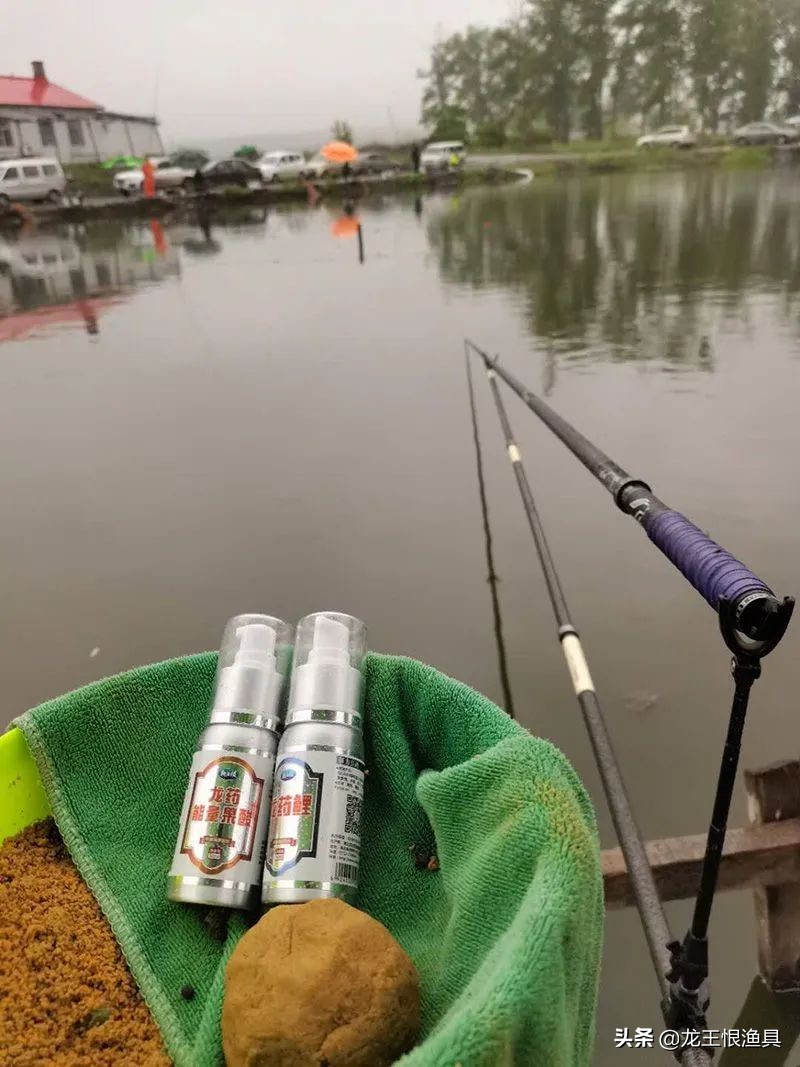 黑坑大鲤视频大全,黑坑战大鲤最新消息