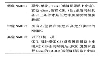 膀胱癌治疗安全共识,94岁老年膀胱癌诊疗经验
