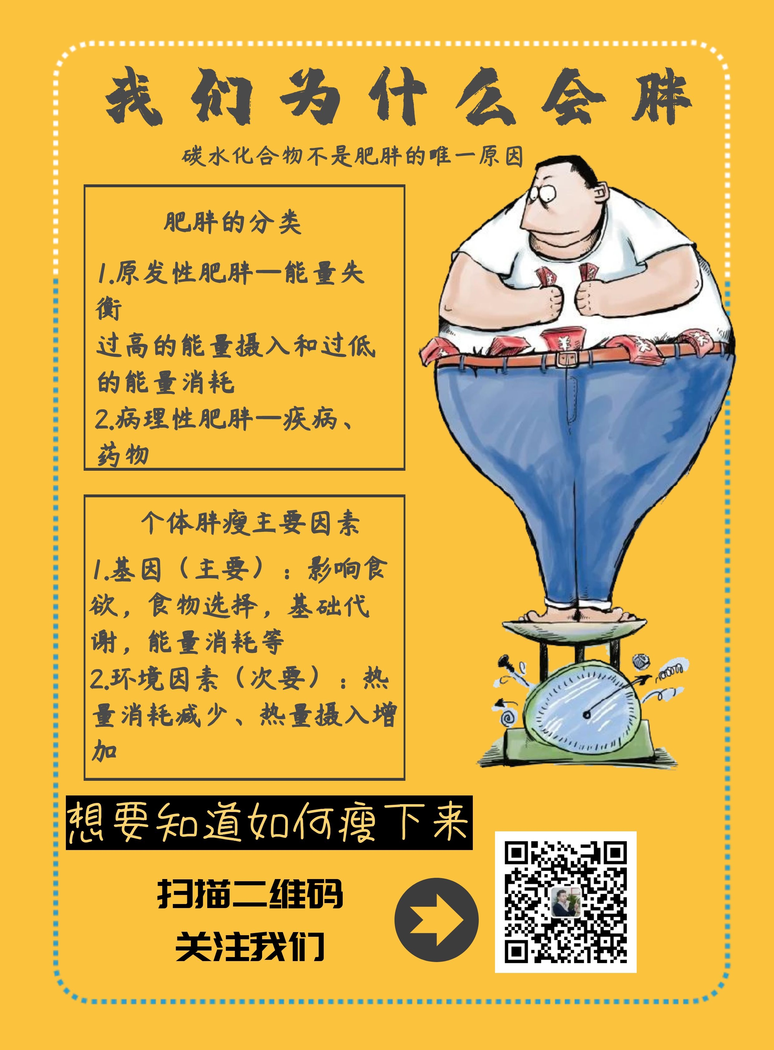 碳水化合物和肥胖有什么关系,我们为什么会胖