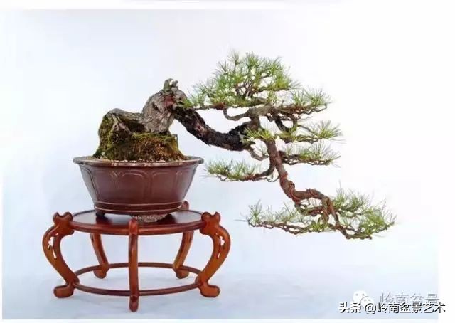 鎮礀缁濆閫㈢敓,鎮礀鐩嗘櫙澶у叏