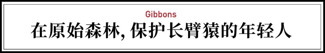 一群90后学霸，嚷嚷着要给它们找对象：自己单身不要紧
