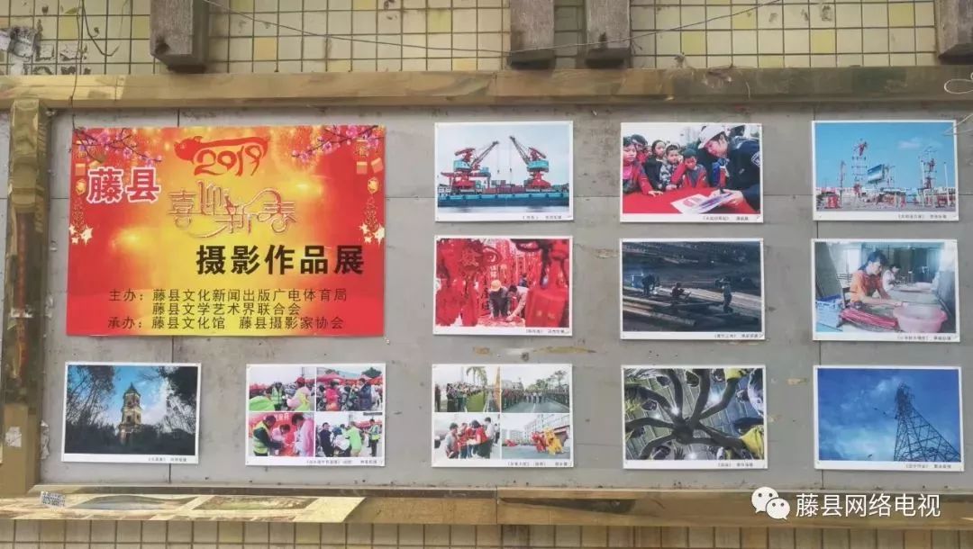 藤县最近有什么大新闻,藤县最近发生什么了