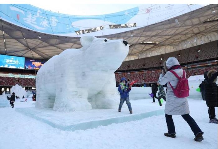 玩雪竟还要花100多块？鸟巢欢乐冰雪季主场今起全面开放引热议