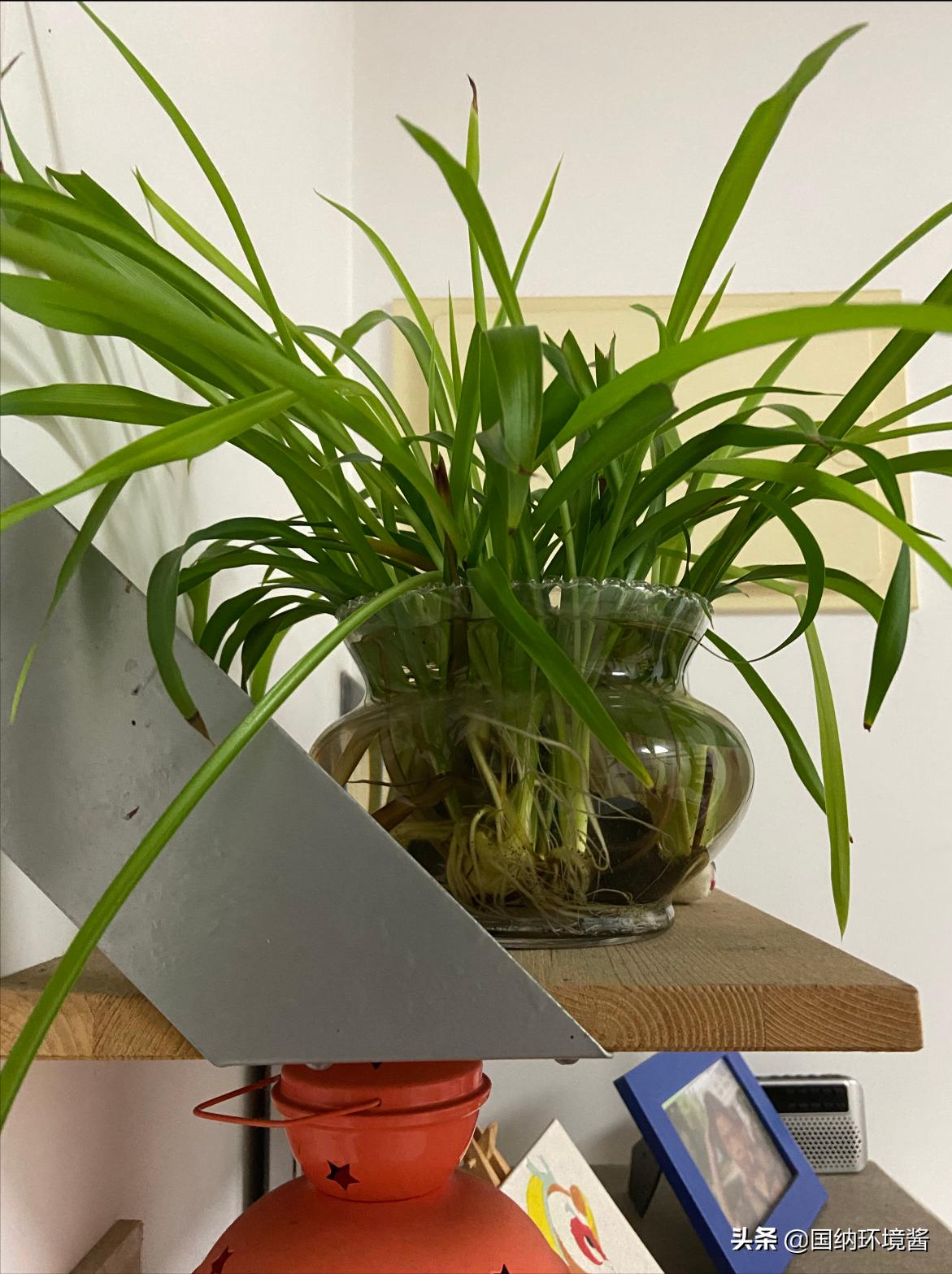 室内空气净化最佳长效除甲醛方案,室内空气净化甲醛治理方案