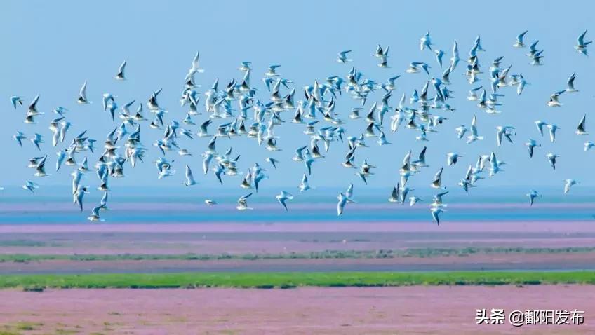 遇见美丽水乡,鄱阳鄱阳湖