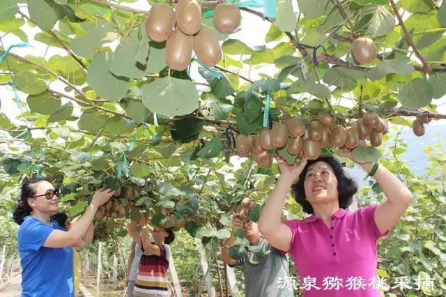 你好！我叫博山，这是我的简历......,转自博山微生活）