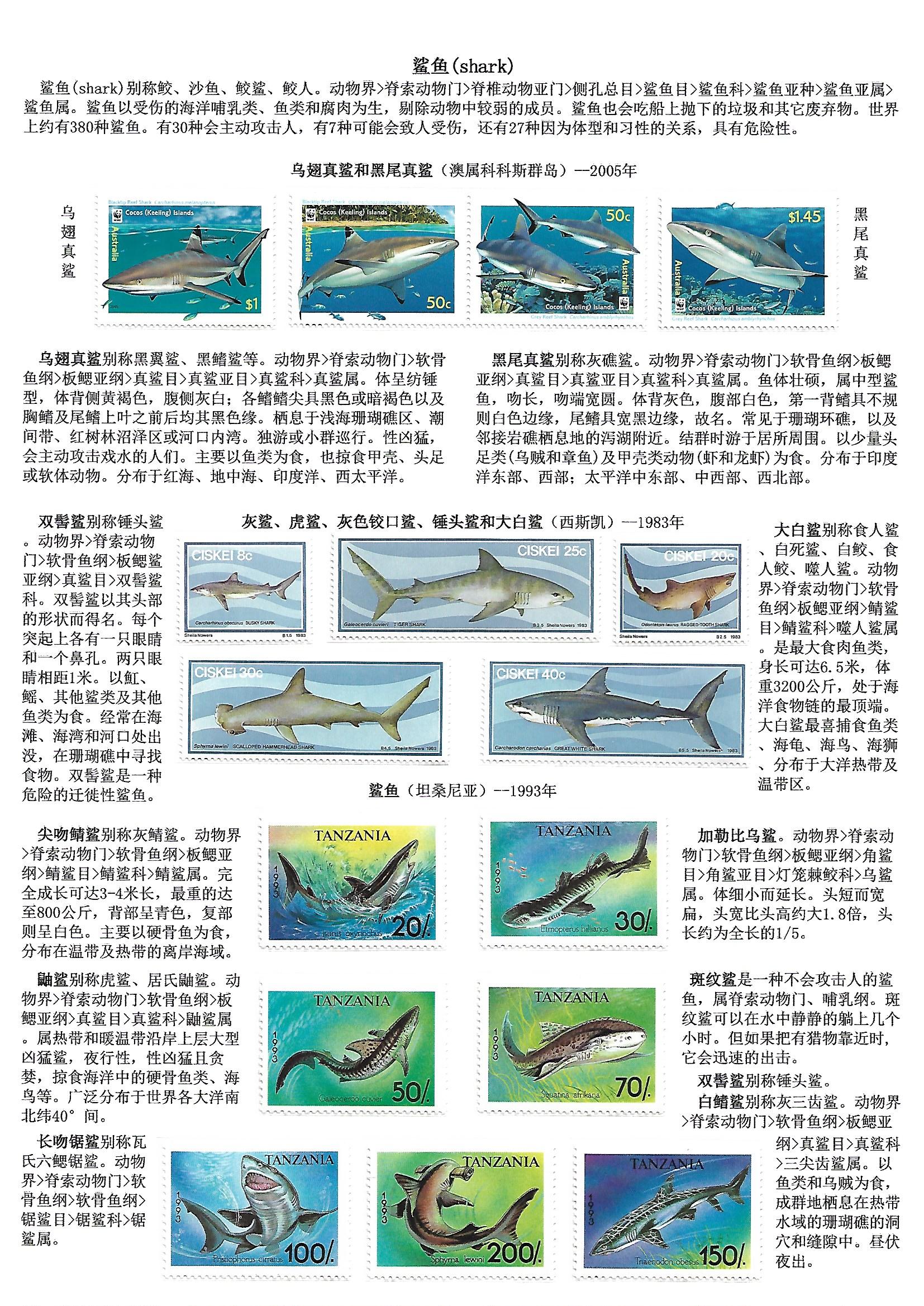 鲸和鲨（WhaleShake）