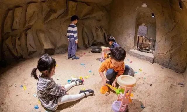 深圳十大暑假室内必去景点,深圳暑假值得带孩子旅游的地方