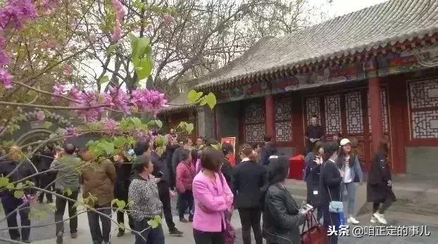 官宣！这个元旦 正定是游玩名单上妥妥的C位 skr