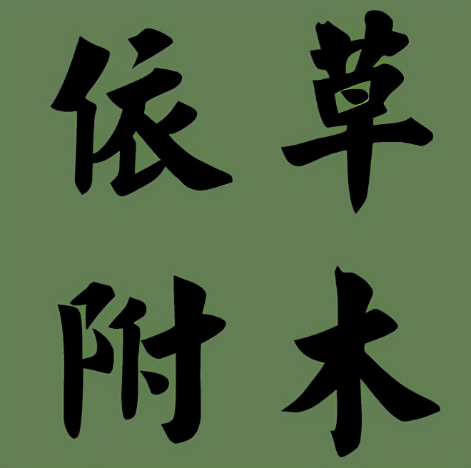 什么木什么什么的成语,第一个字是木的成语