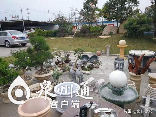 惠安:这个惯偷“有情调”!偷盆景装扮自家庭院