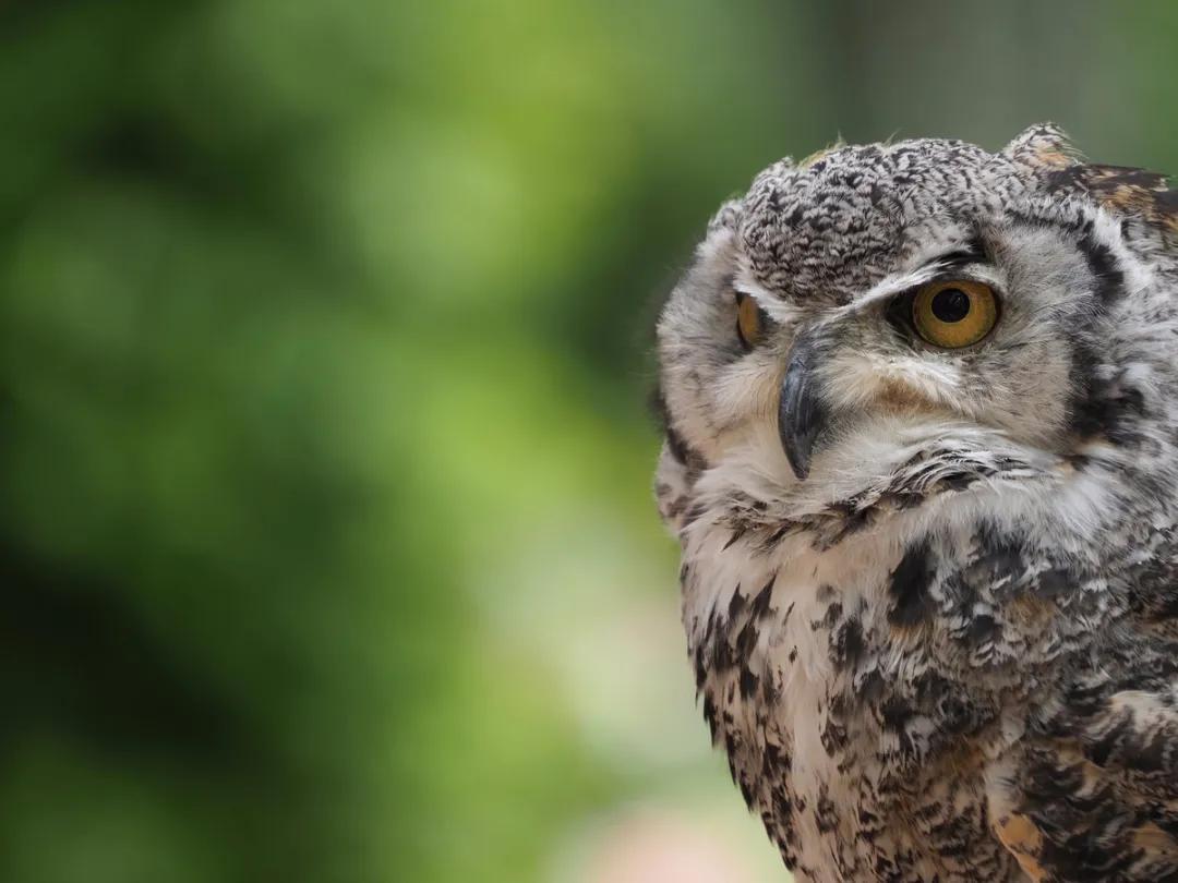 奥林巴斯曝光过度,奥林巴斯epl6自带的镜头