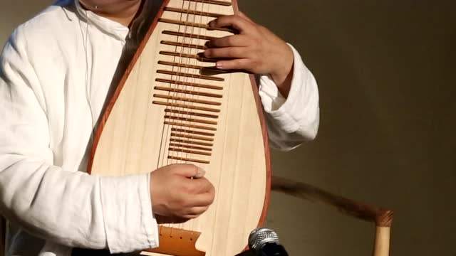 琵琶真的是适合学吗,自学琵琶需要先了解什么