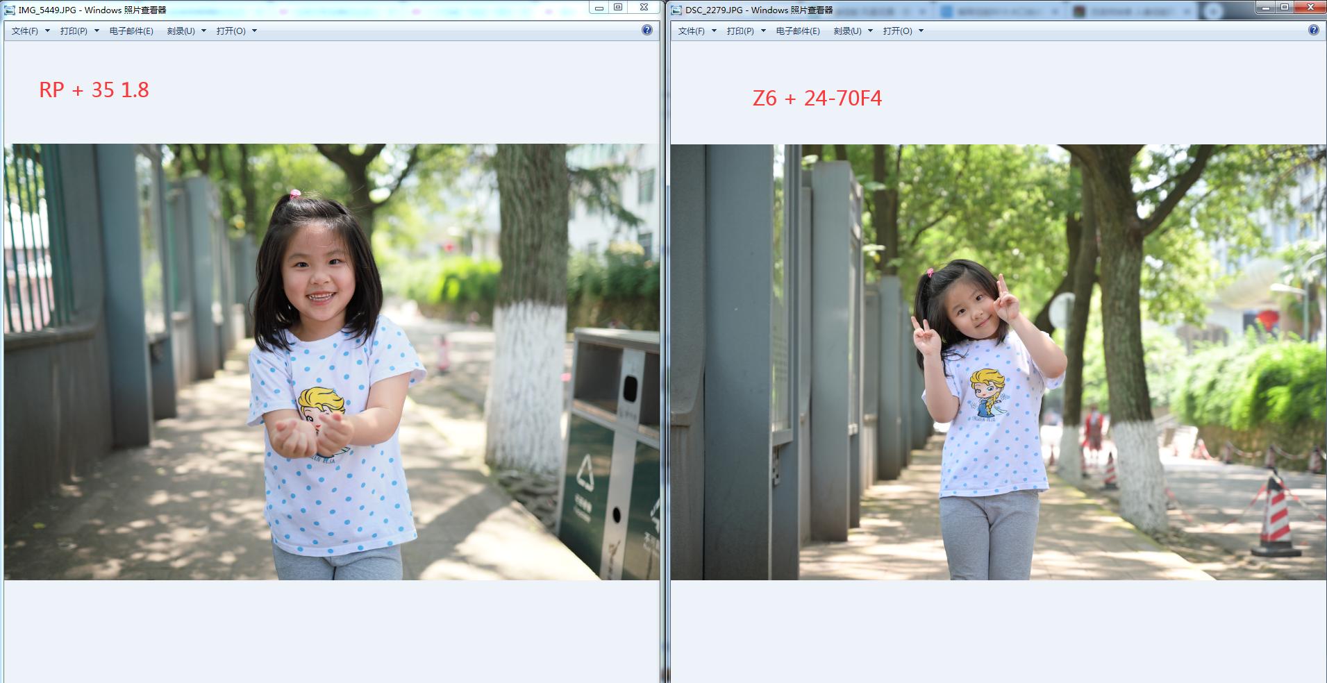 Z6？贼溜！——十五年佳能老用户的尼康初体验