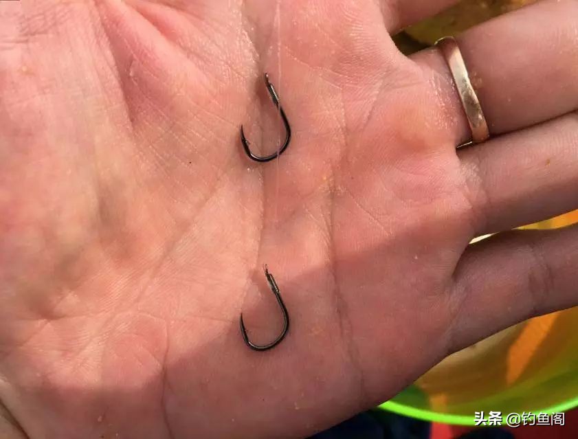 想钓鱼要先会打窝,想钓鱼用什么鱼饵