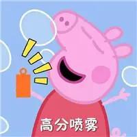 成外和四七九,成实外中考升学率怎样