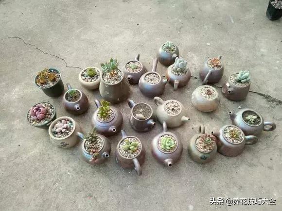 花盆5元一个,花盆不用花钱买