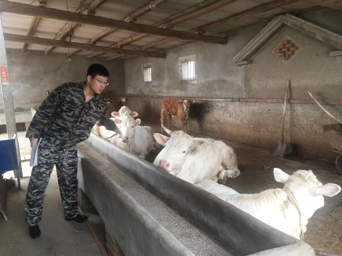 辽宁省唯一！从大学生到村官，他斩获国家级重量荣誉，全国仅22人！