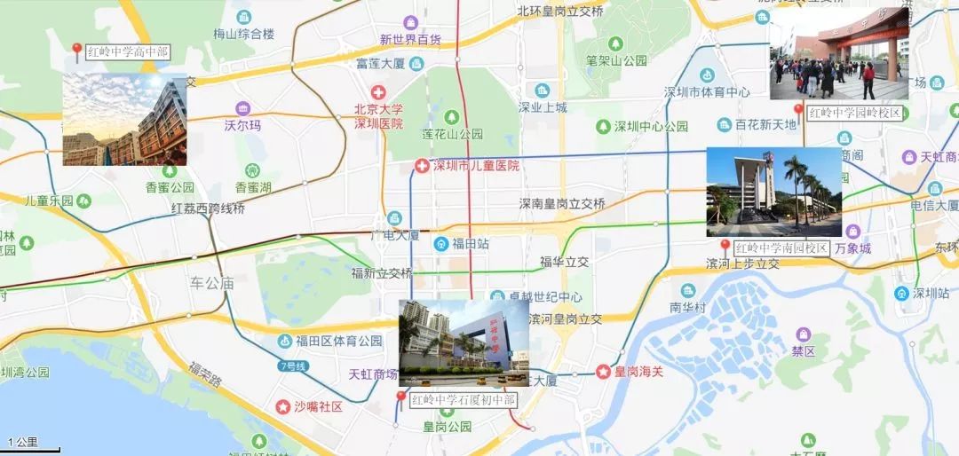 红岭中学可以走读吗,深圳红岭中学优缺点