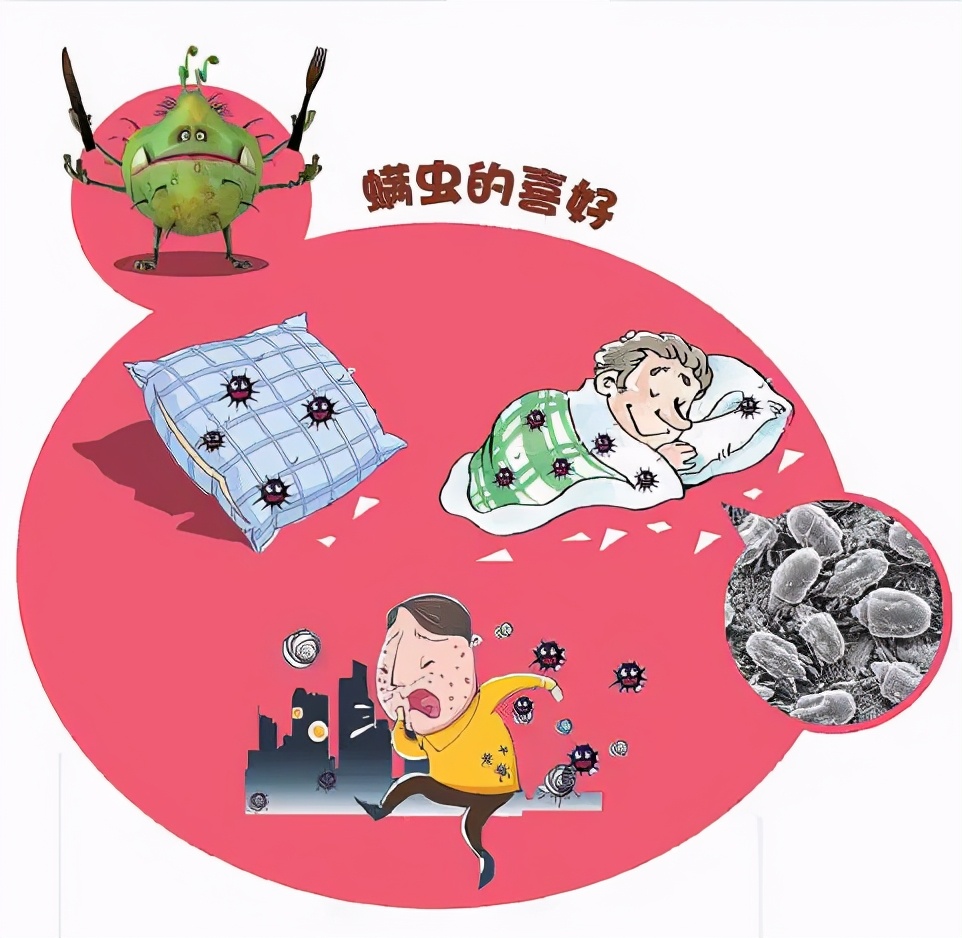 冬天螨虫多还是夏天螨虫多,怎么有效的去除螨虫简单方法