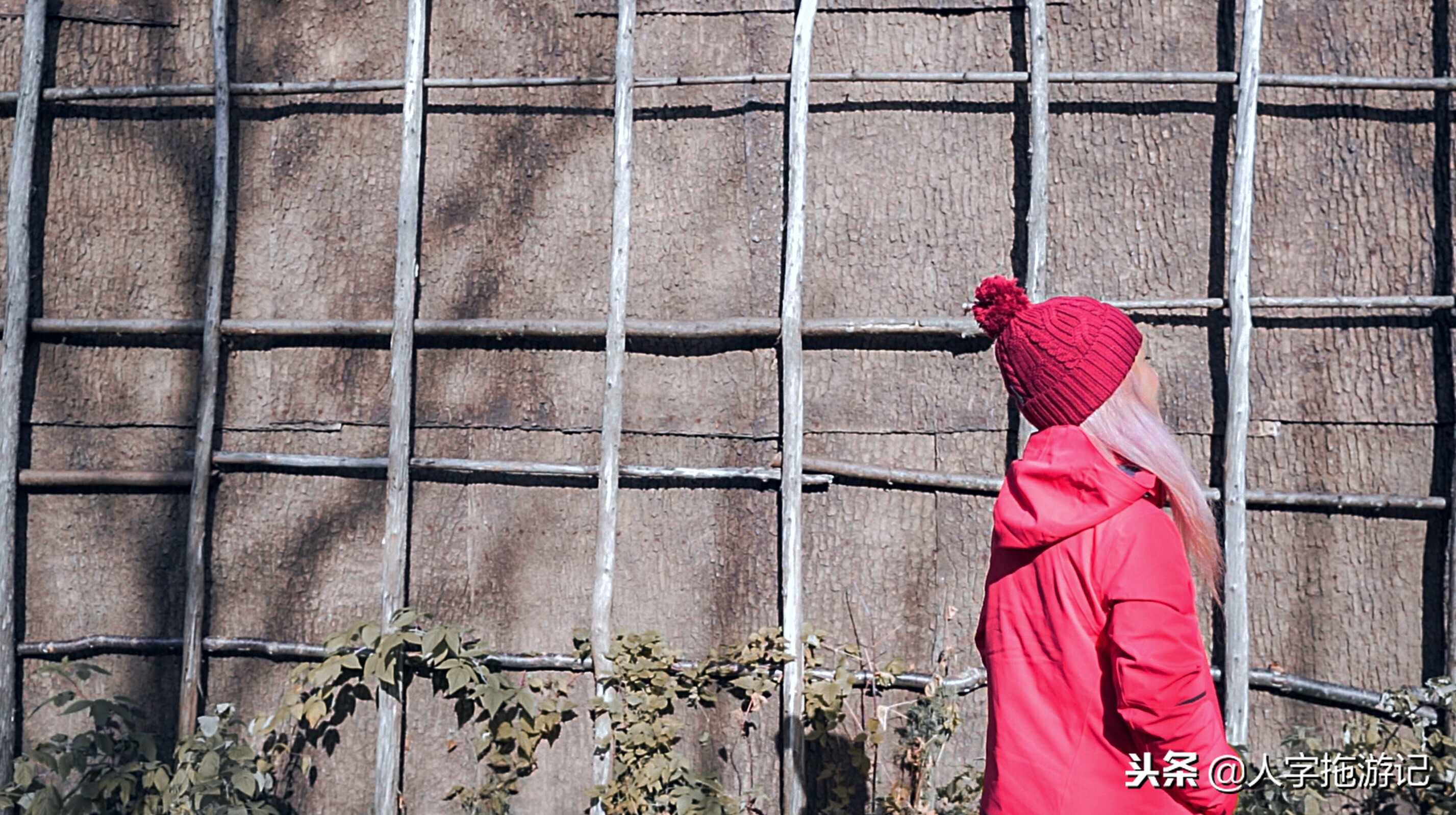 冬日极客，加拿大Wendake穿着狼爪去狼族